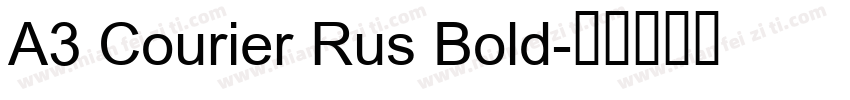 A3 Courier Rus Bold字体转换